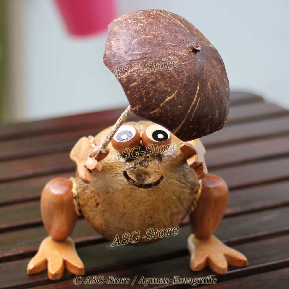 Kokosnuss Spardose im tollen Design als Frosch mit Regenschirm